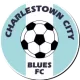 Logo Charleston City Blues